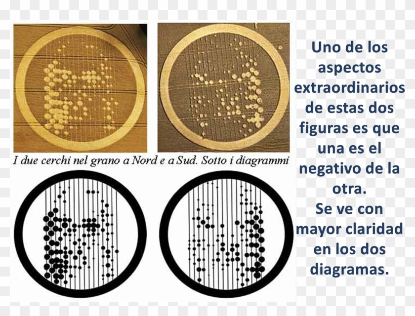Crop Circles, Faces - Hidden Secrets Of Catholic Church Clipart #5010558