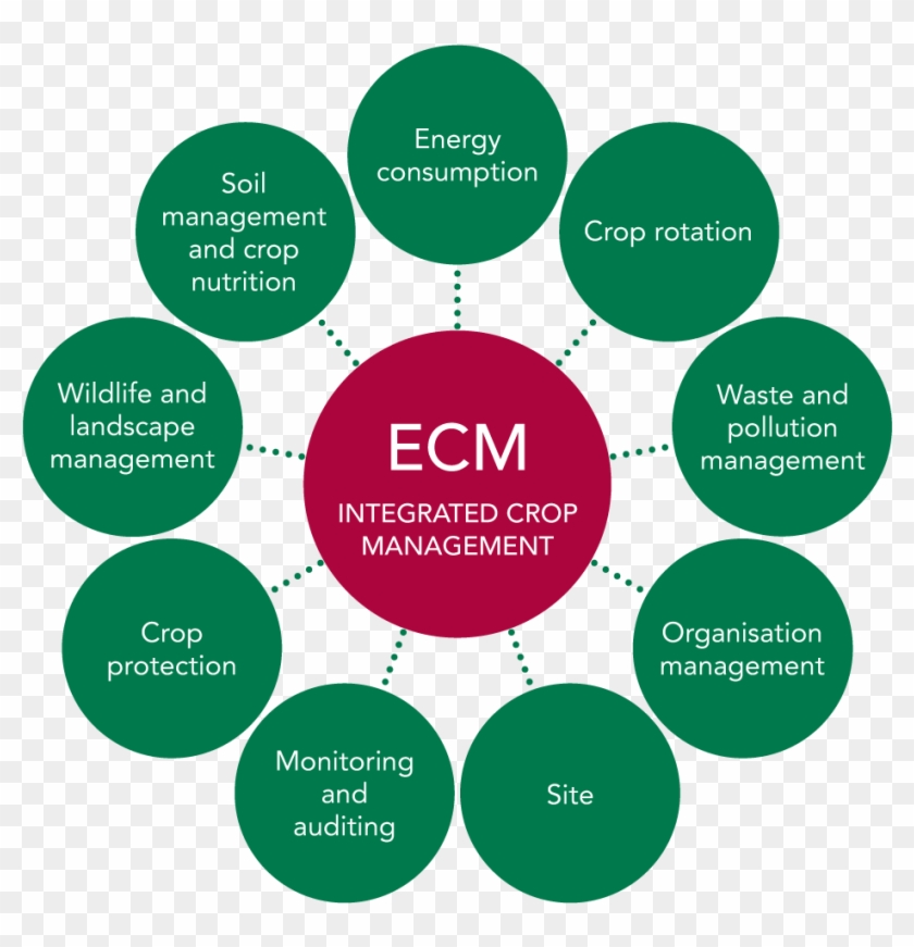 The Role Of Ecm's Agronomists - 10 Principles Of Landscape Approach Clipart