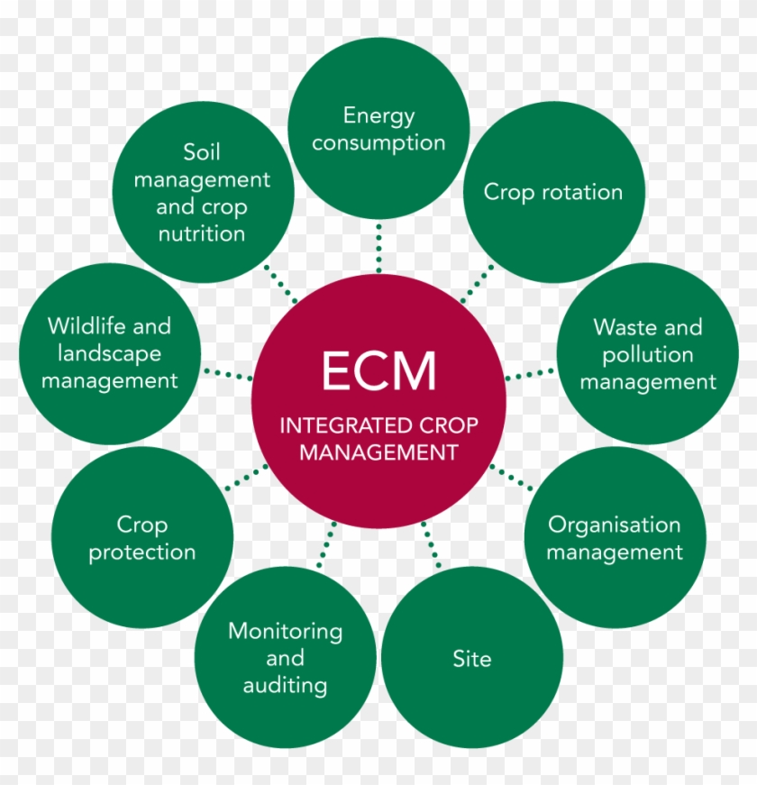 The Role Of Ecm's Agronomists - 10 Principles Of Landscape Approach Clipart #5010781