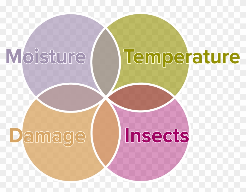 December 5, - Buzzoven Clipart #5011403