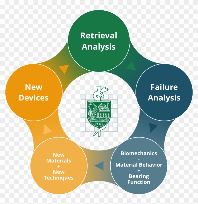 Today's Orthopaedic Research Facility At Dbec Is A - Circle Clipart #5012215