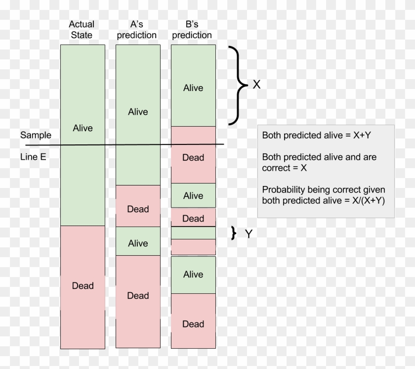 Cat Dead Or Alive Probability Space - Parallel Clipart