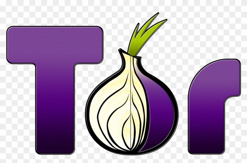 Red Alert For Online Vpn And Tor Users - Tor Browser Icon Png Clipart