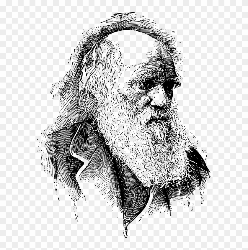 Charles Darwin Portrait2 - Charles Robert Darwin Png Clipart #5013175