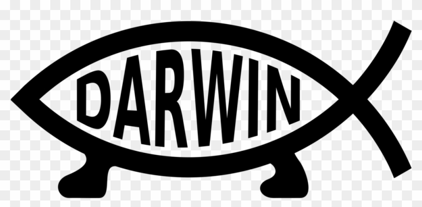 Darwin-fisch Logo Ichthys Brand - Variations Of The Ichthys Symbol Clipart #5013309
