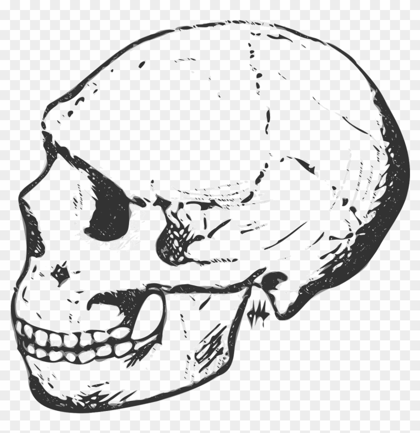Clip Art Black And White Skeleton - Png Download