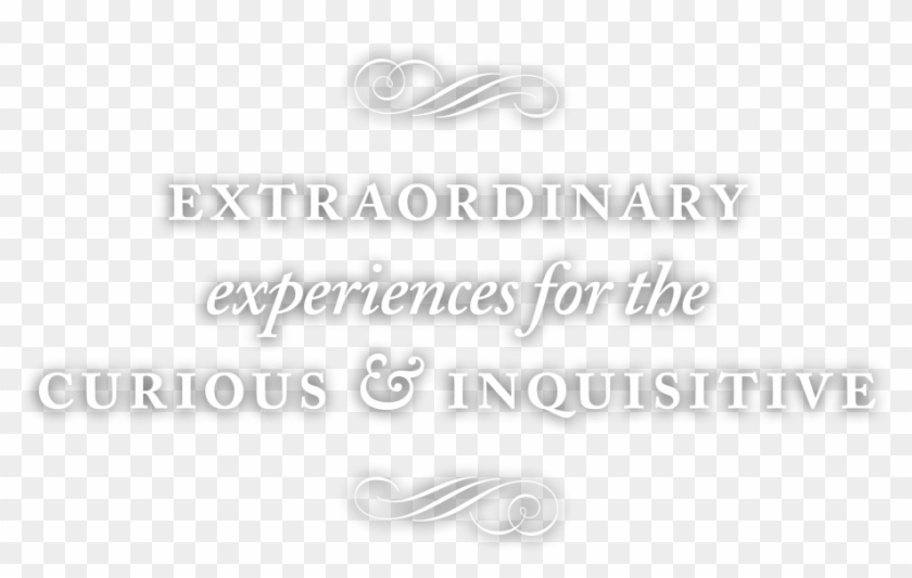 Discover Our Experiences - Calligraphy Clipart