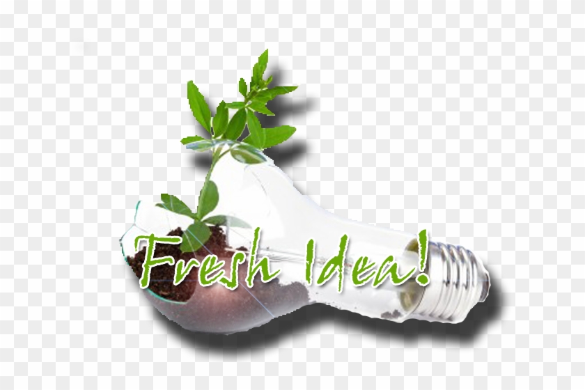 But When I First Started Extreme Couponing, I Really - Sock Clipart