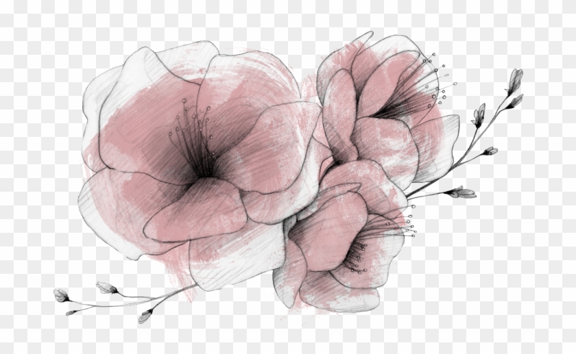 La Mujer Y El Retrato - Datura Inoxia Clipart #5021151