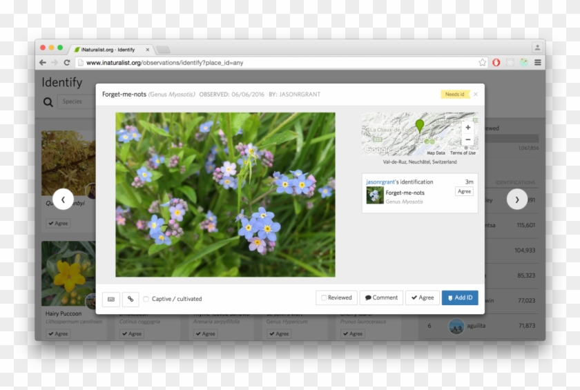 So Check It Out Even If You're Not A Super Hardcore - Graphics Software Clipart