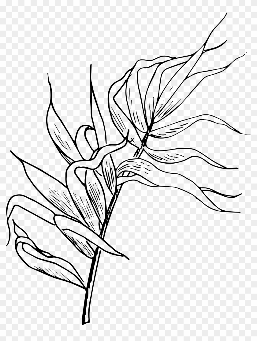 Fotografo Di Ritratto Ferraraportrait Workshop In Verona, - Line Art Clipart