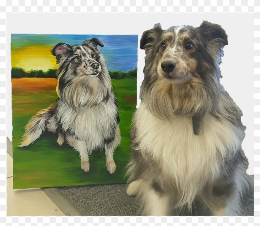 Project Pet - Shetland Sheepdog Clipart