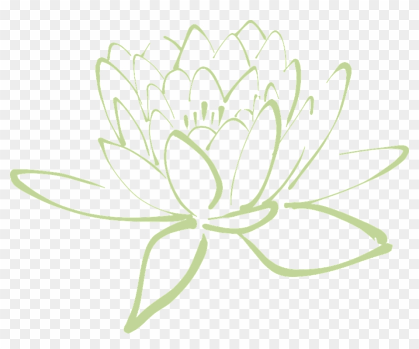 Flor De Loto, Lotus, Flor, Nenúfar, Nenúfar Blanco - Bunga Vektor P Ink Clipart #5022354