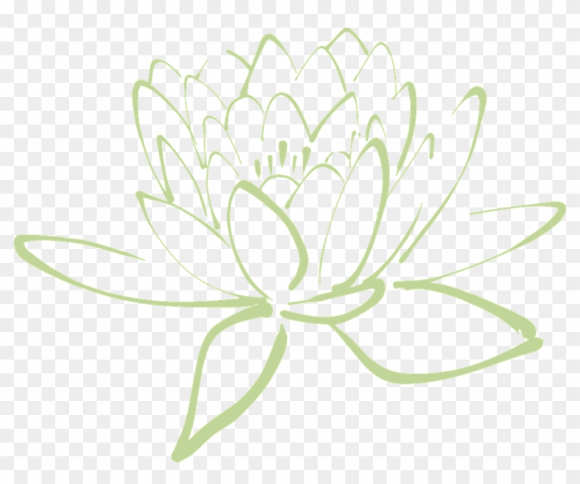 Flor De Loto, Lotus, Flor, Nenúfar, Nenúfar Blanco - Bunga Vektor P Ink Clipart