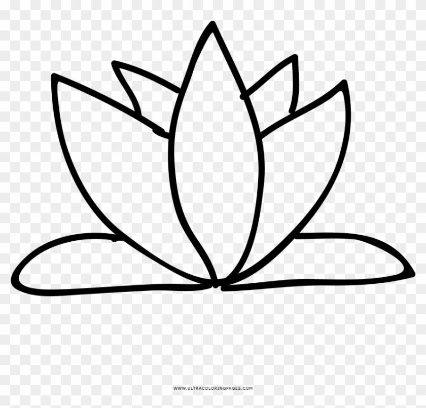 Loto Página Para Colorear - Outline Simple Lotus Flower Clipart #5022883