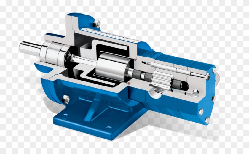Los Engranajes Están Soportados Por Cojinetes En Ambos - Viking Gear Pump Clipart