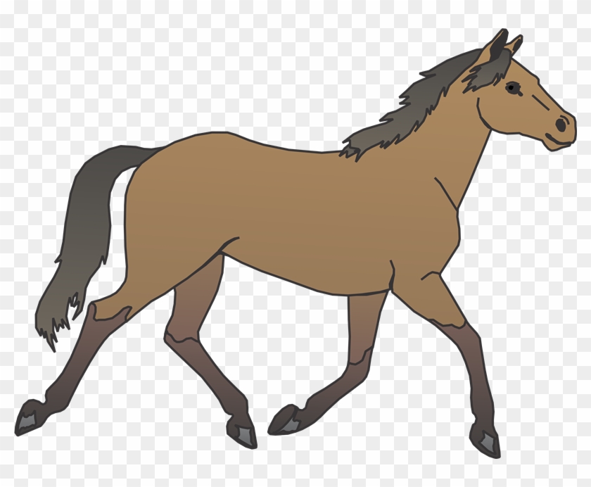 Caballos Animados Png - Cart Before The Horse Gif Clipart #5024820