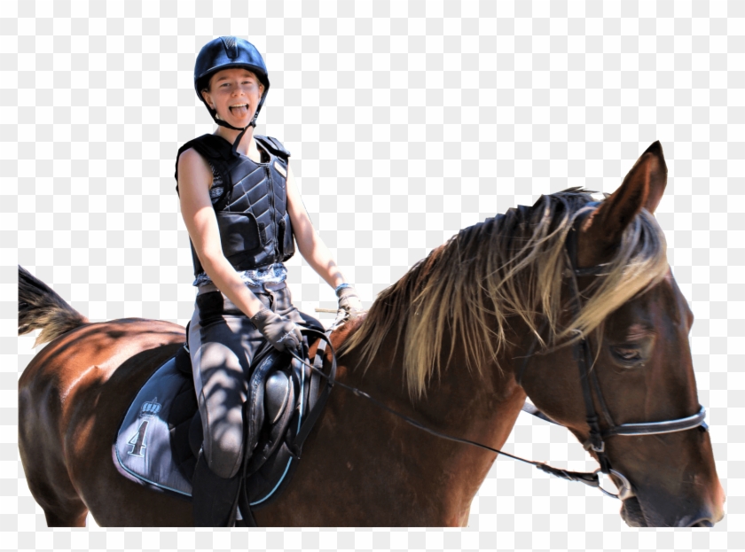 Choose Your Next Adventure - Stallion Clipart