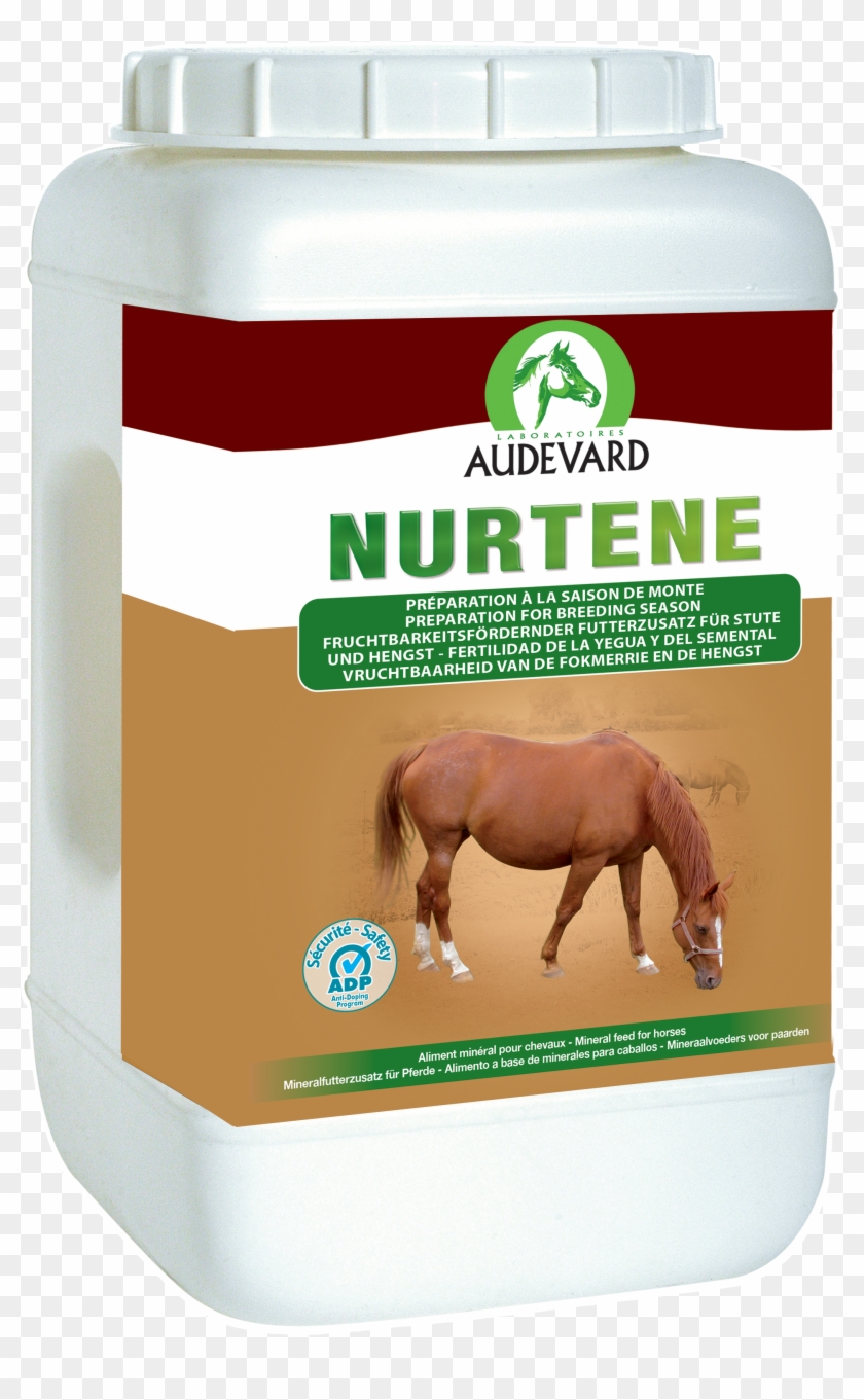 Ekyflex Arthro Clipart #5025781