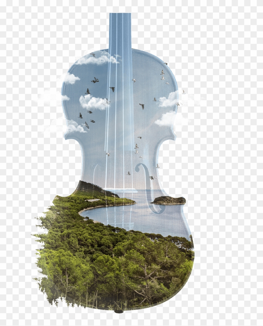 Conciertos Anteriores - Viola Clipart