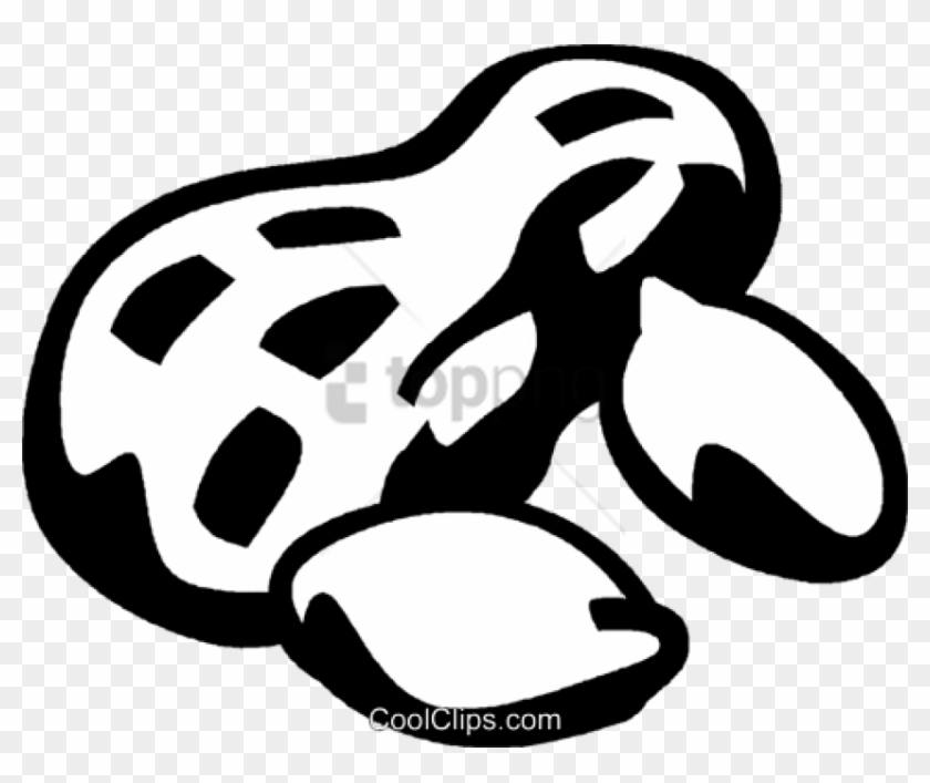 Free Png Amendoim Vetor Png Image With Transparent - No Nut Sign Png Clipart #5026336