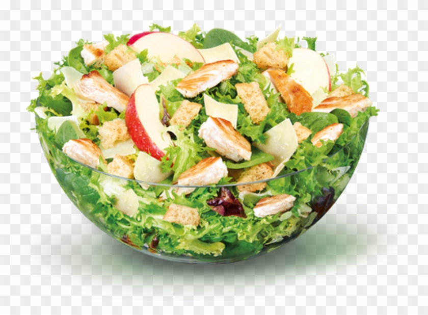 Ensalada De Estados Unidos Clipart #5026635