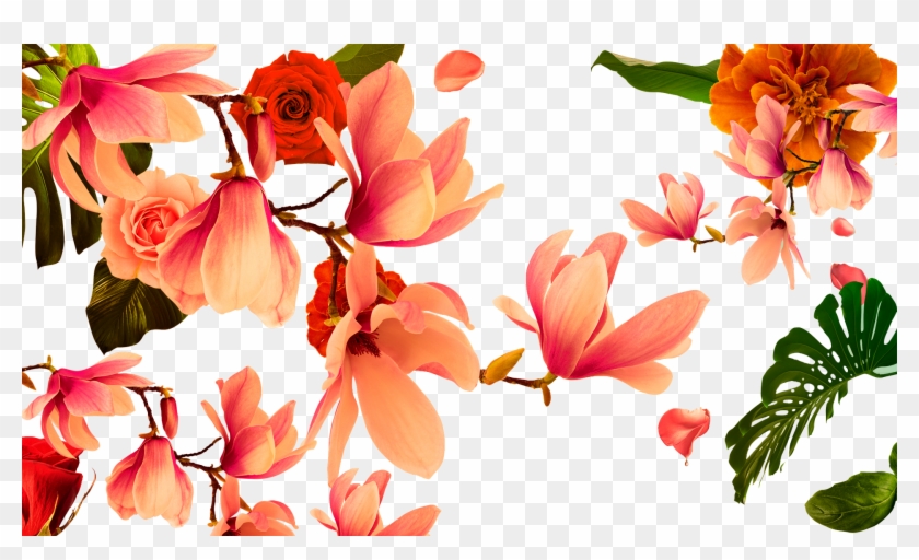 Fashion - Illustration Clipart