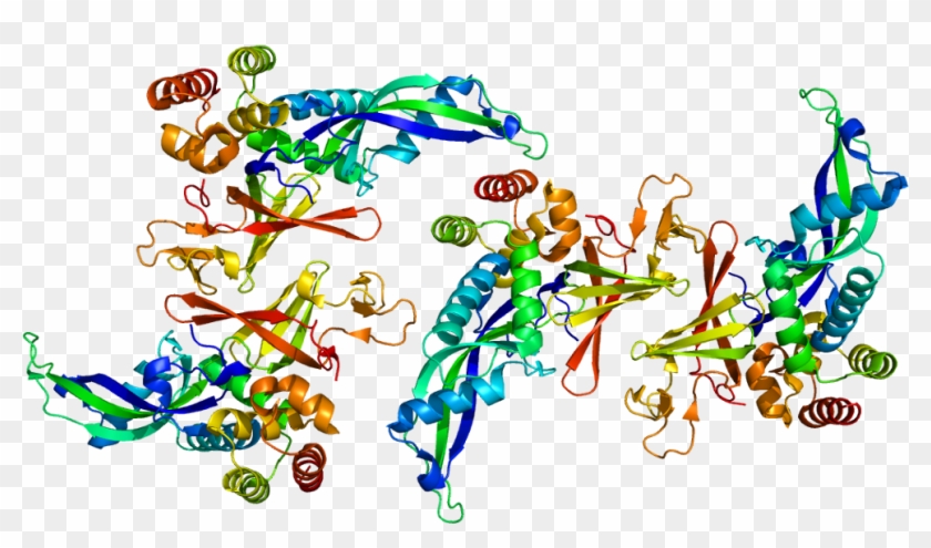 Rna Polymerase Transparent Clipart #5027131