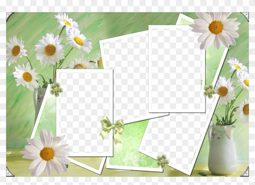 4 Fotos - Daisy Clipart #5027219