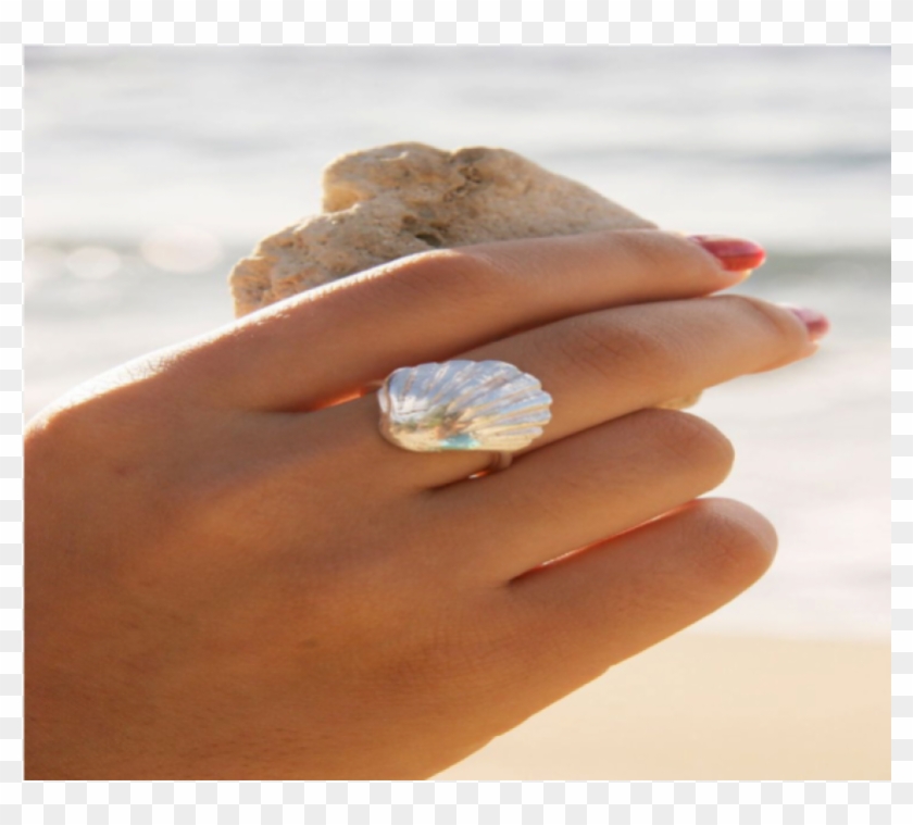 Anillo Concha - Shell Rings Clipart