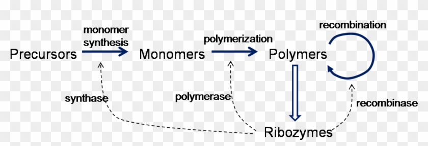 The Rna World Theory For The Origin Of Life Is That - Ribozyme Rna World Clipart #5027922