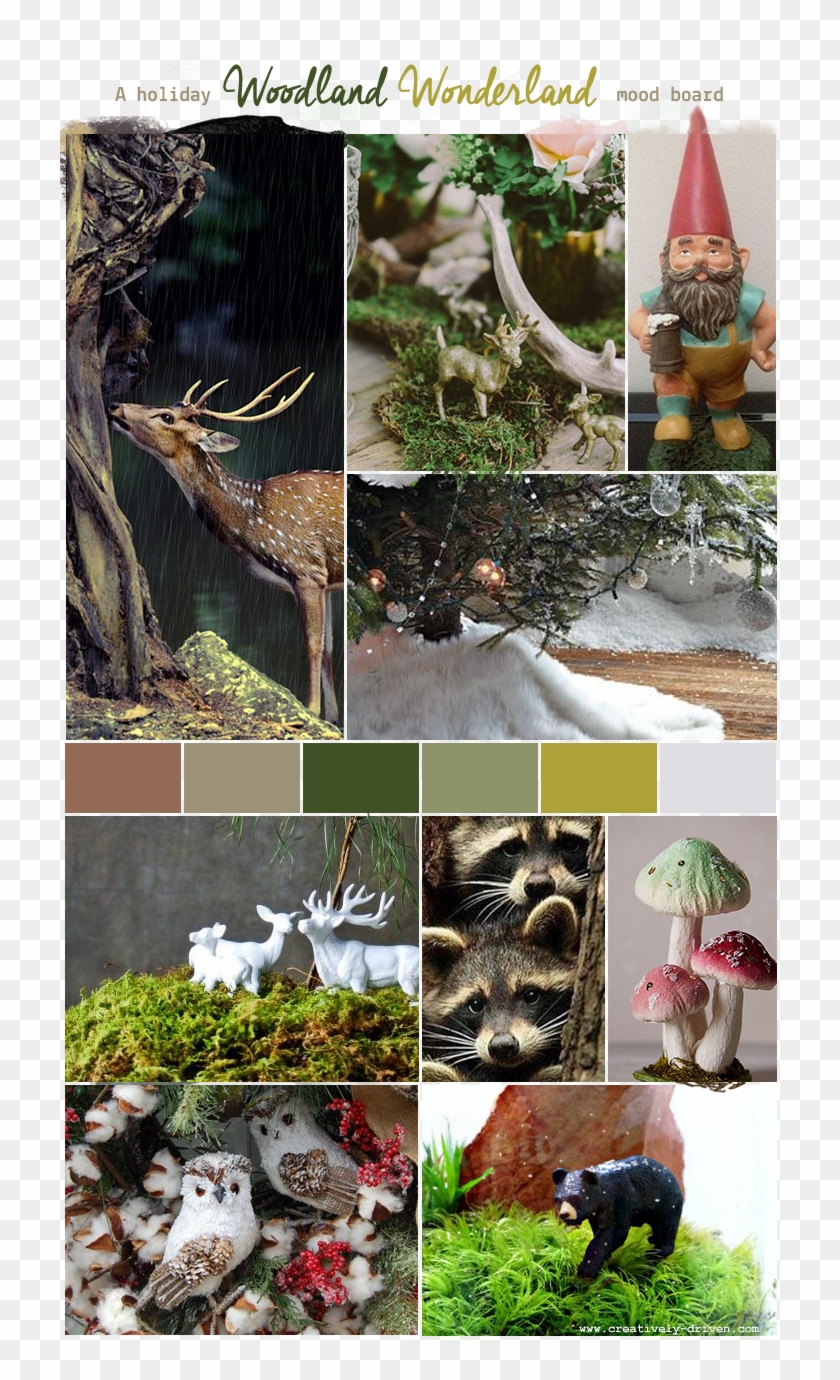 Cd Woodland Moodboard - Mood Board Woodland Clipart