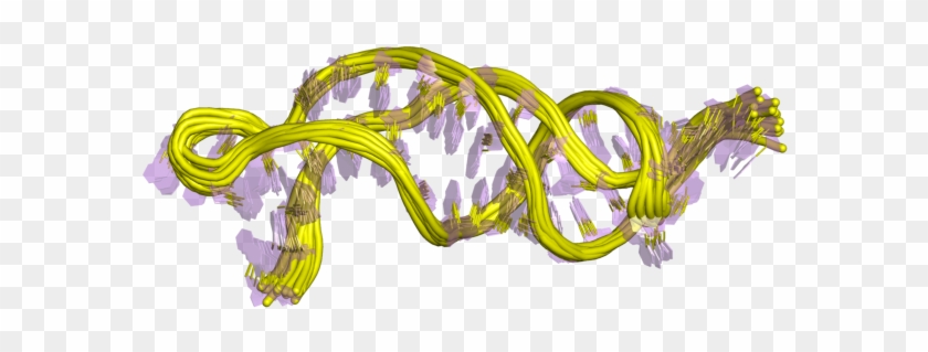 Terc Rna Clipart