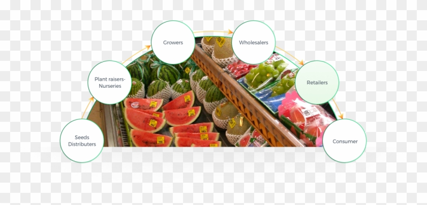 Origene Seeds Lead To A Significant Contribution For - Natural Foods Clipart #5028457