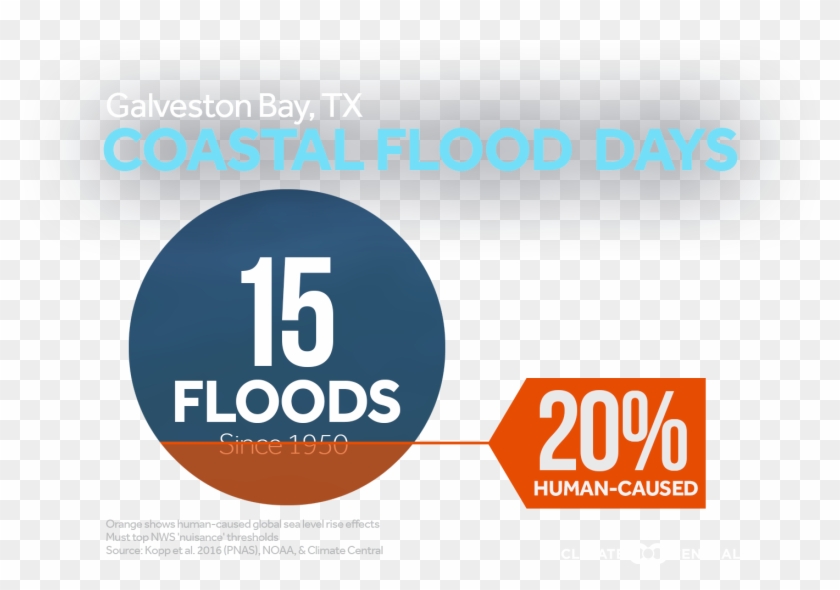 Jpg • Transparent Png - Graphic Design Clipart #5028543