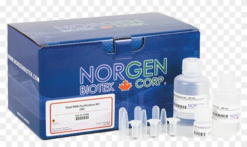 Norgen Biotek Clipart #5028875