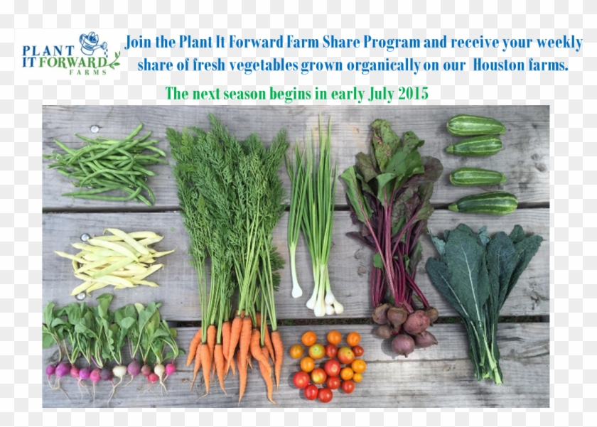 Farmsharejuly2015 - Chives Clipart