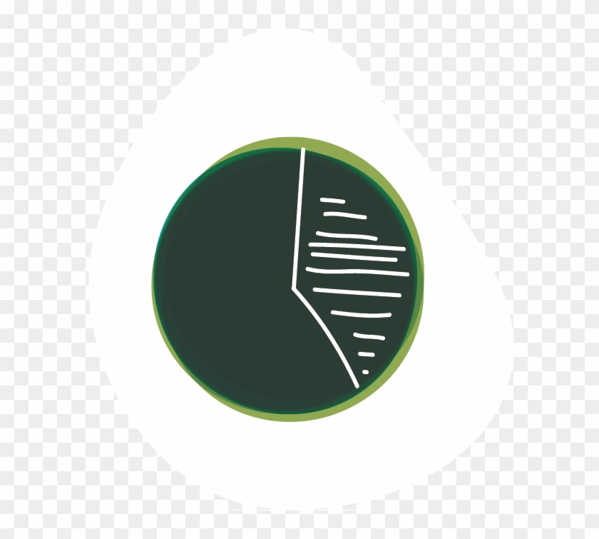 Evaluation Toolkit For Youth Programs Step - Circle Clipart #5029610