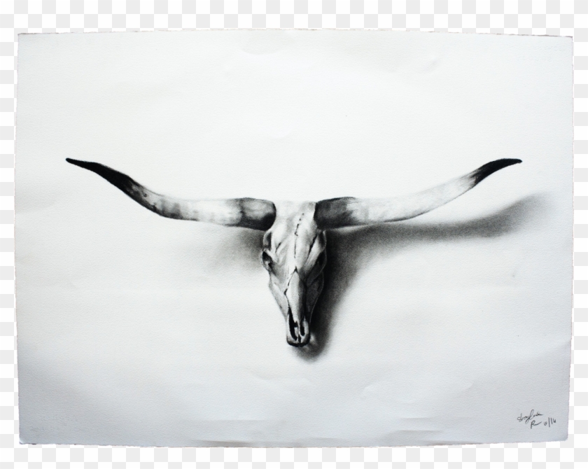 Longhorn Skull Charcoal Drawing Clipart