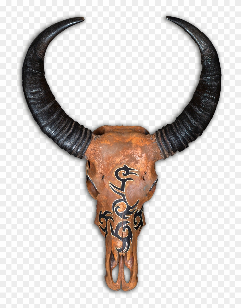 Some Native American Tribes Believe That The Bull Skull - Bull Clipart #5030134