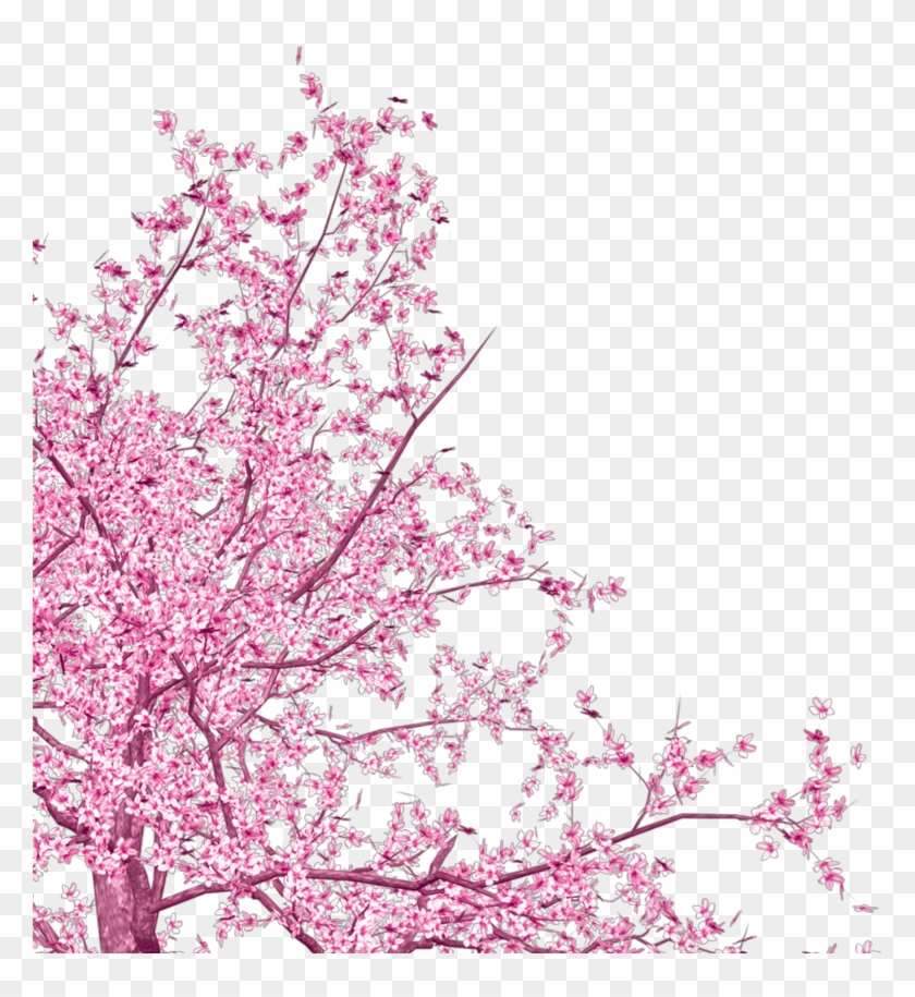 #freetoedit #corner #cherry #blossom - Joseph Travel To Bethlehem Clipart