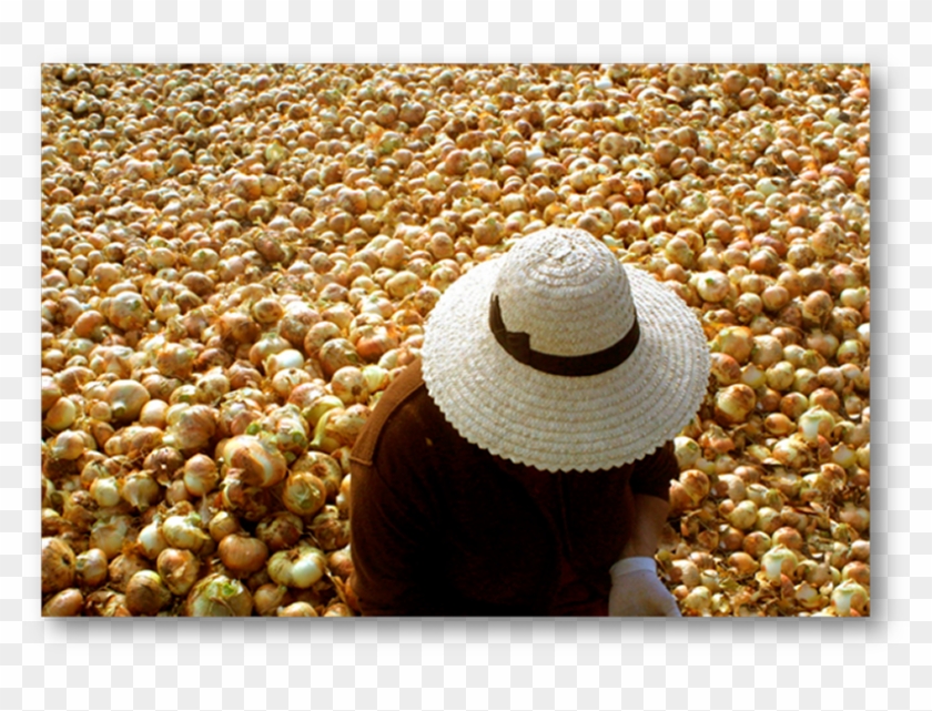 Un Domingo Con Mamá En El Monumento Al Campesino - Still Life Photography Clipart #5038290