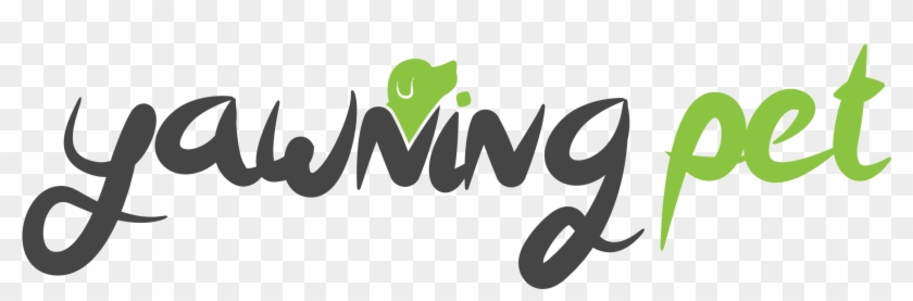 Dog Bark Collar With Vibration Harmless Shock Usb Rechargeable - Graphic Design Clipart #5041022