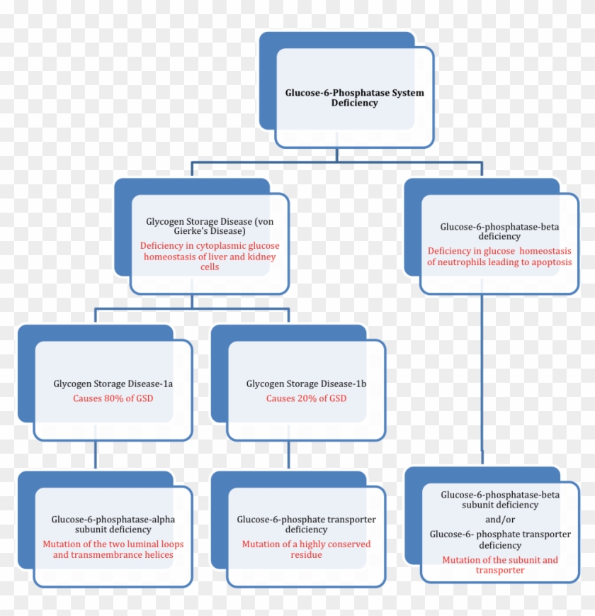 Hierarchy Of Glucose 6 Phosphatase System Deficiency - Glucose Hierarchy Clipart #5042617