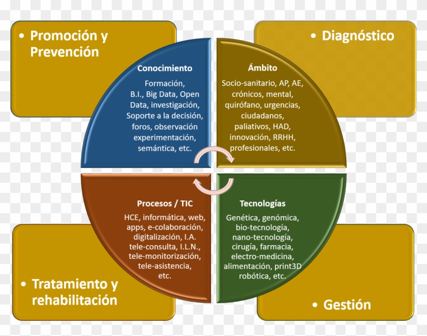 Líneas Operativas Del Plan De Innovación - Millennial Classification Clipart