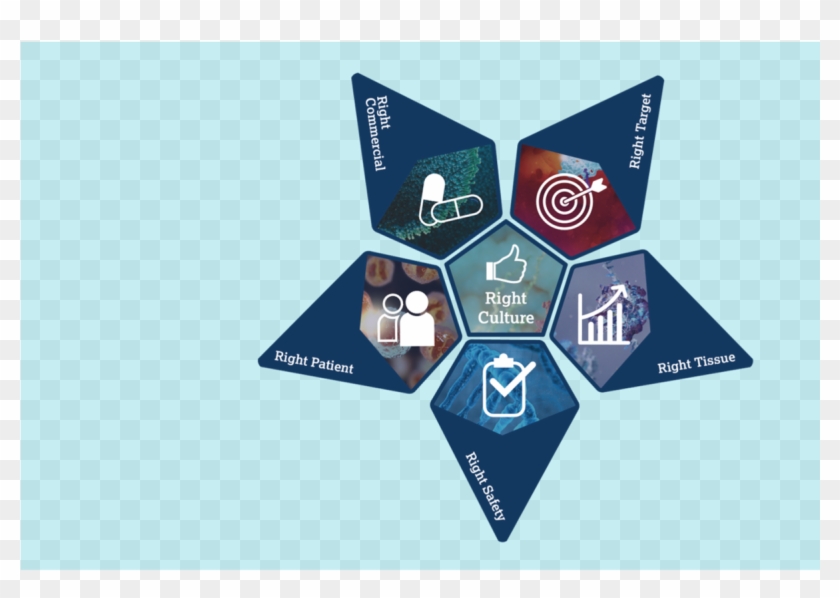 Transforming Astrazeneca's R&d Productivity , Png Download - Astrazeneca 5r Clipart