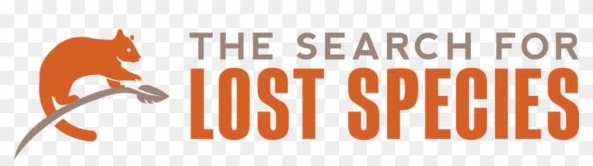 Lost Png - Graphic Design Clipart