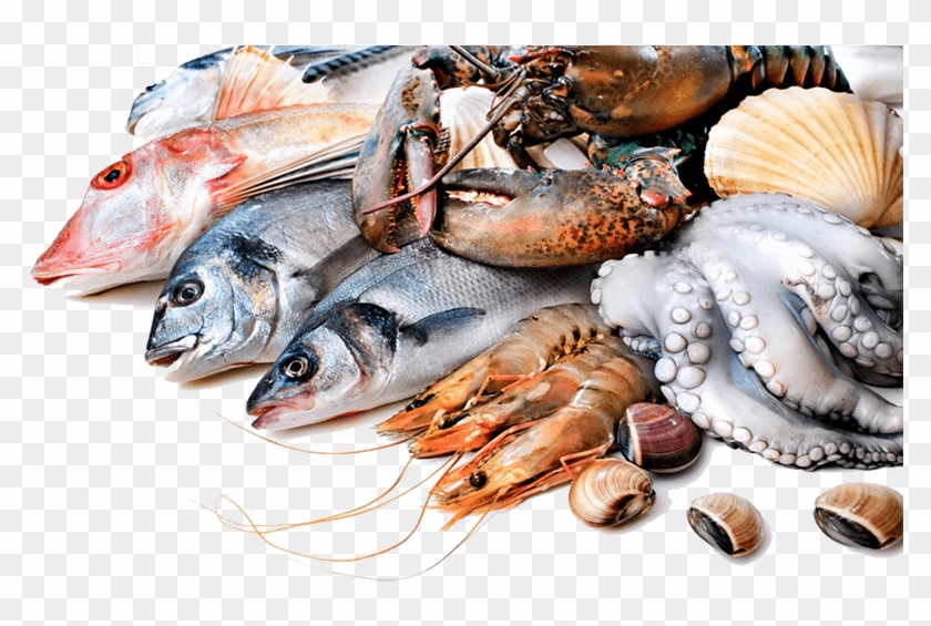 Fresh Fish , Png Download - Seafood Png Clipart