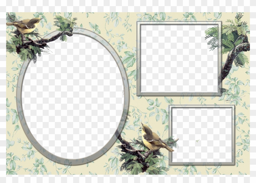 Three Photo Frame Png Clipart #5047427