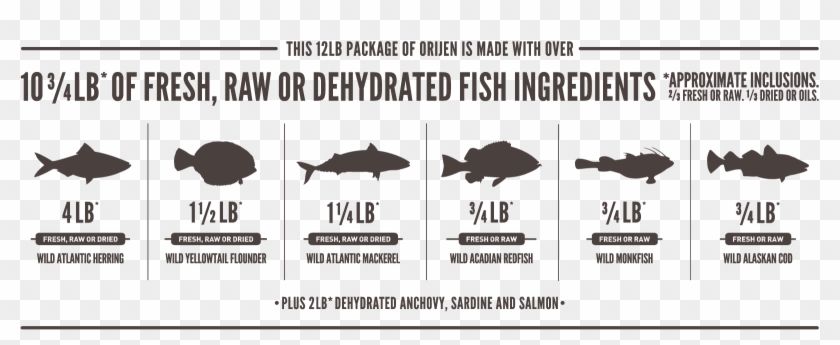 First Semester An Infographic Clipart